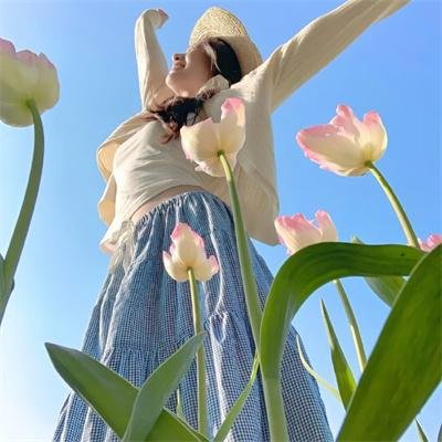 居家兵团粤语